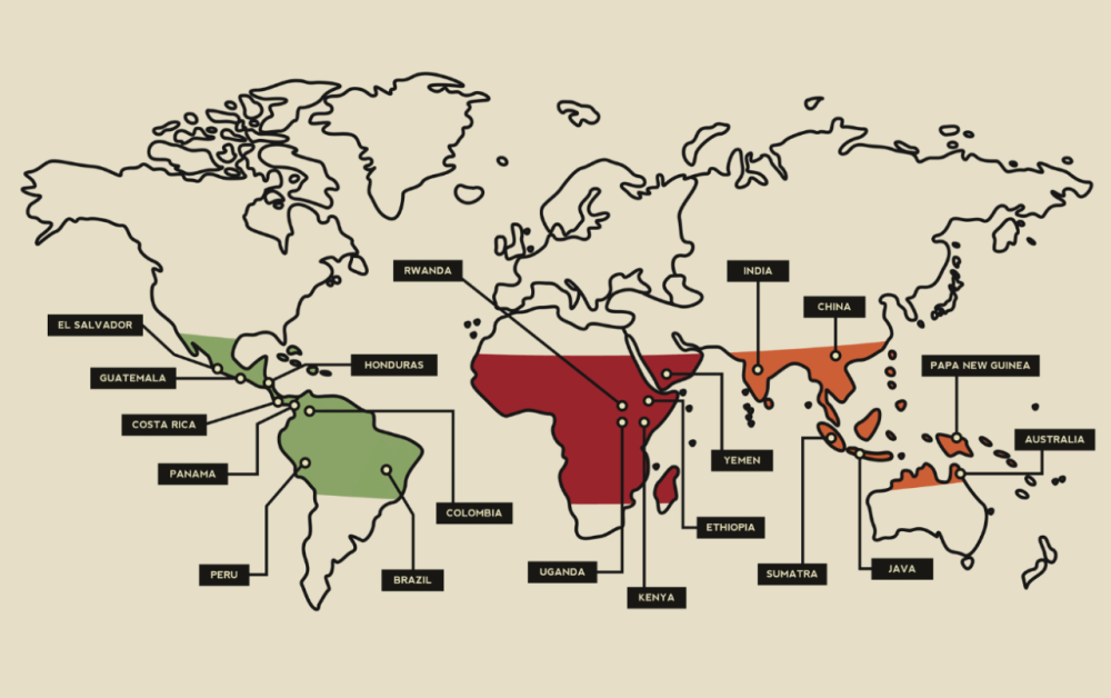 From Planting to Flavor: A Comprehensive Guide to Arabica Coffee Bean Origins and Grades