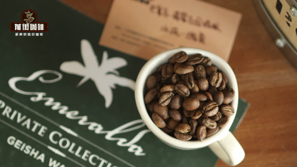 How to Brew Geisha Coffee Beans? Mastering Regional Flavors and Pour Over Parameters All in One Go
