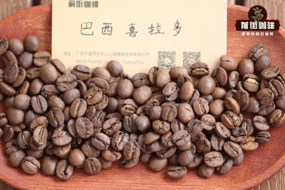 Top 10 Global Coffee Producing Countries: Flavor Profiles of Arabica-Dominant Regions & Pour Over Recommendations