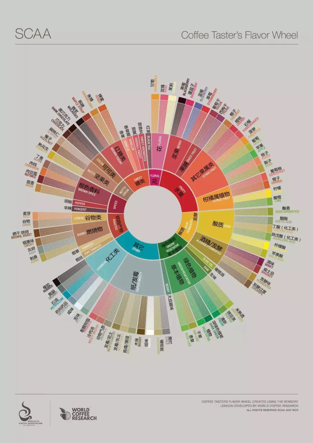 A Comprehensive Guide to the Specialty Coffee Flavor Wheel: From Fermentation Aromas to Roast Defect Scoring Standards