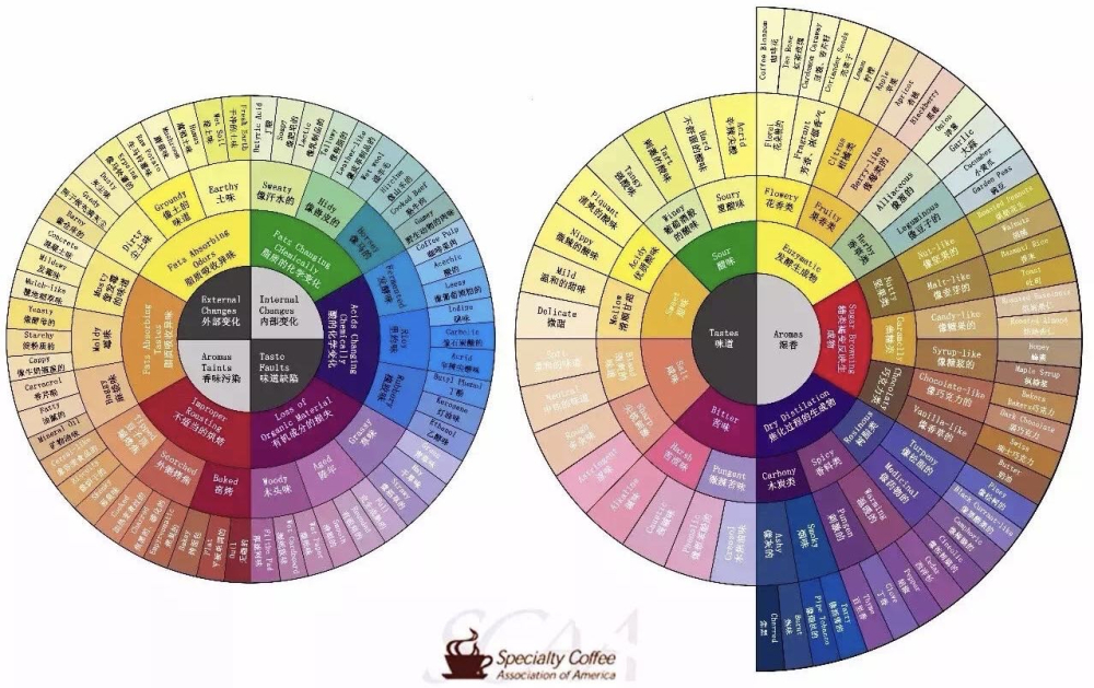 A Comprehensive Guide to the Specialty Coffee Flavor Wheel: From Fermentation Aromas to Roast Defect Scoring Standards