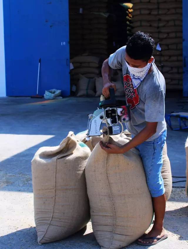 Front Street Coffee's Guide to Pour Over with Indonesian Golden Mandheling: A Comprehensive Breakdown of Wet-Hulled Processing, Varietal Details & Brewing Parameters