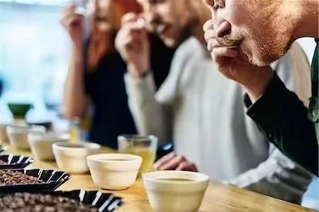 What’s the difference between COE and SOE? Understand everything from specialty coffee competitions to single-origin espresso extraction in one go