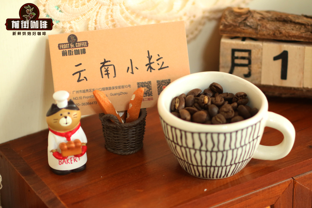 Analysis of Yunnan Small-Bean Coffee Varieties and Pour Over Buying Guide: From Catimor to Typica