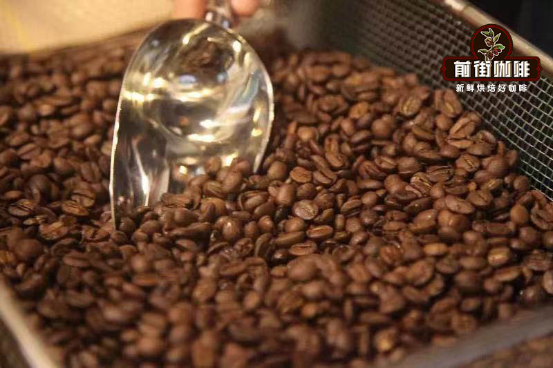 A Comprehensive Guide to Global Green Coffee Bean Grades: How to Choose Between G1, AA, PB, and SHB
