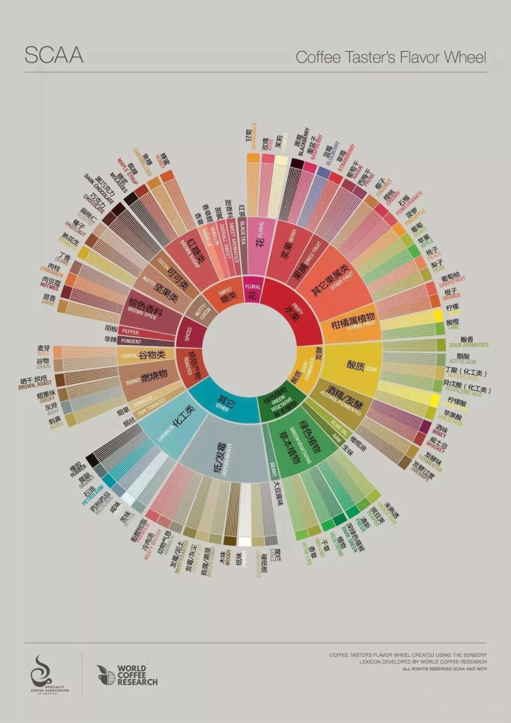 A Comprehensive Guide to the Ten Categories of the Coffee Taster’s Flavor Wheel | Tasting Techniques and Brewing Parameters from Fruits to Floral Notes