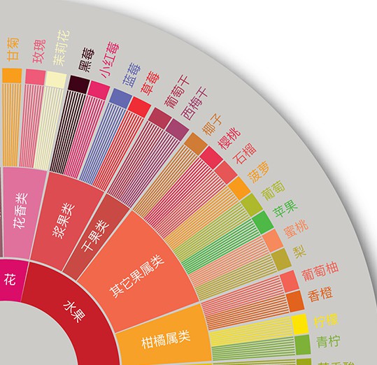 A Comprehensive Guide to the Ten Categories of the Coffee Taster’s Flavor Wheel | Tasting Techniques and Brewing Parameters from Fruits to Floral Notes