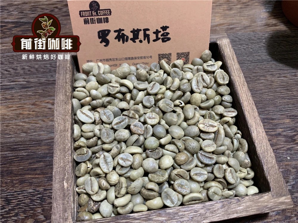 Analysis of the Three Major Coffee Bean Varieties: Characteristics and Flavor Guide to Arabica, Robusta, and Liberica