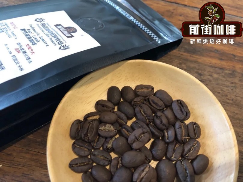 Kopi Luwak Flavor Analysis and Brewing Secrets | A Complete Guide from Rare Green Beans to Pour Over Parameters