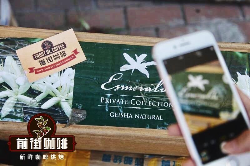 A Comprehensive Guide to Panama Green Label Geisha: Washed Flavors, Grading System, and Pour Over Recommendations