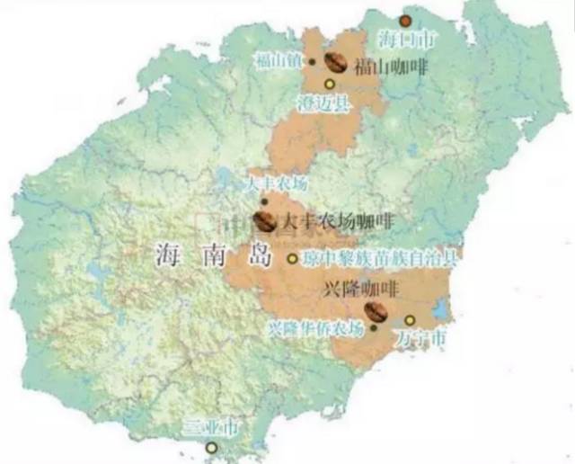 Complete Guide to Hainan Coffee Beans: Characteristics of Robusta, Sugar Roasting Process, and Local Flavor Profile
