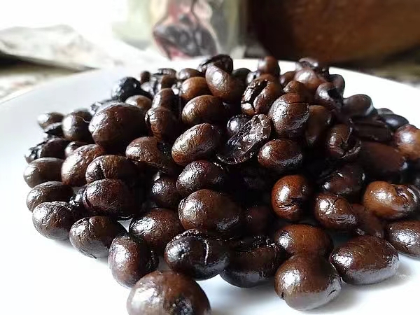 Analysis of Civet Coffee Flavor: A Complete Guide to Differences Between Wild and Farm-Raised Varieties and Their Tasting Characteristics