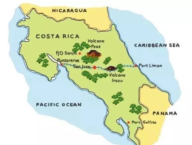 Costa Rica Beethoven Washed: Canet Estate Medium-Light Roast Pour Over Flavor & Brewing Guide
