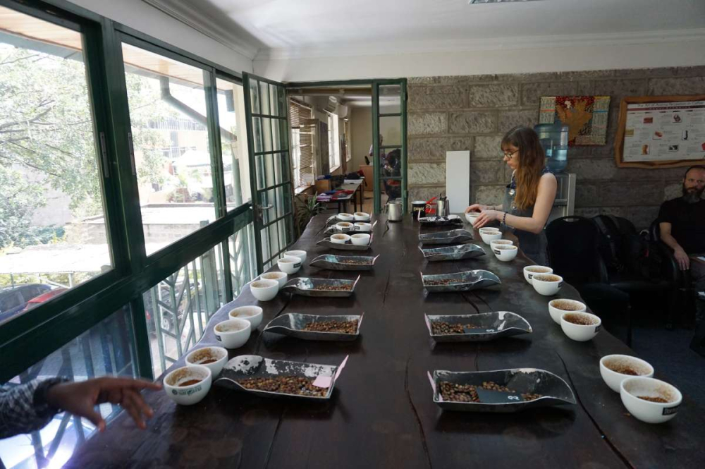 How to Roast and Brew Kenyan Coffee? A Complete Guide to SL28/SL34 Varieties and K72 Washed Process