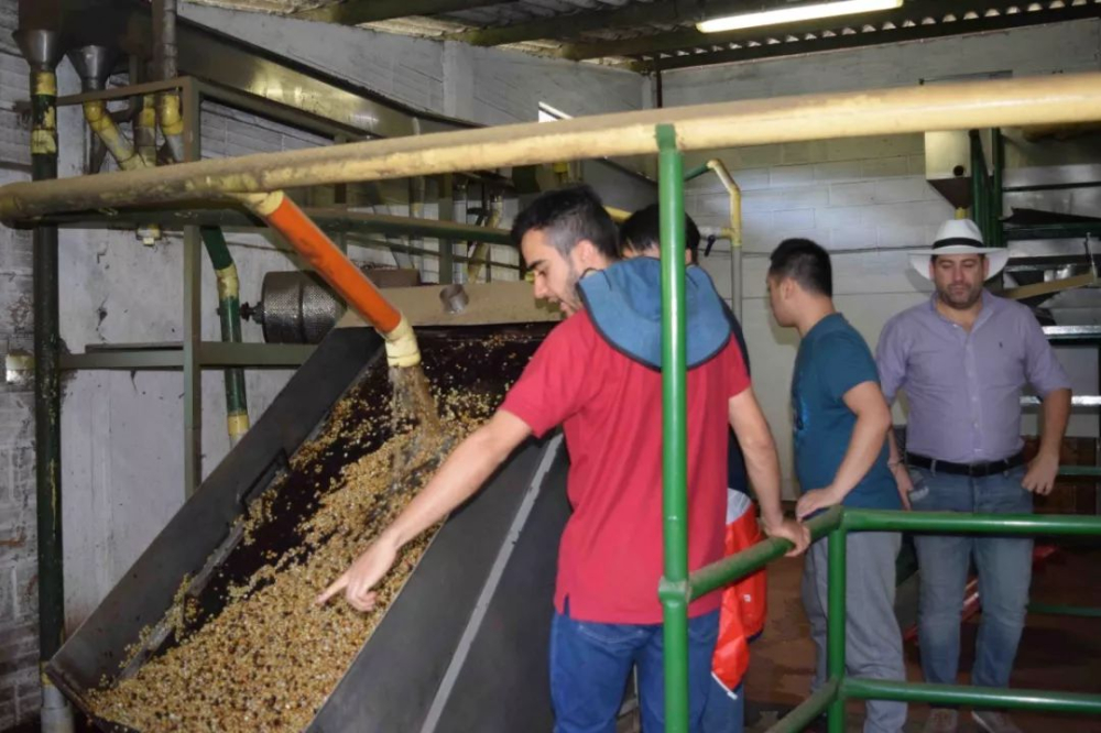 A Comprehensive Guide to the Washed Process: Flavor Characteristics and Processing Steps of Washed Process Coffee Beans