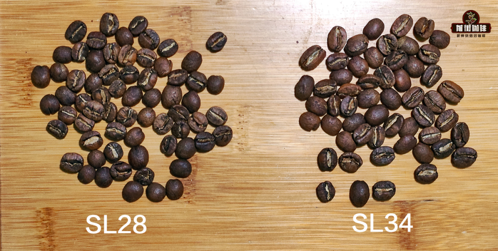 Analysis of Kenyan Coffee Acidity and Varietal Characteristics: K72 Washed Process, Tomato-like Notes, and Pour Over Recommendations