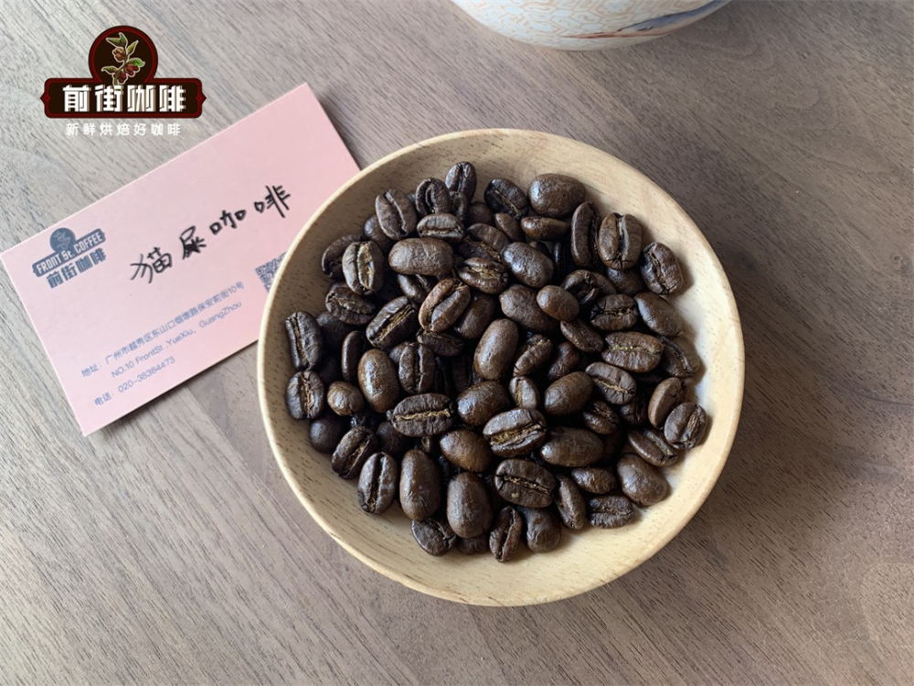 Kopi Luwak Pour Over Guide: Complete Extraction Parameters from Grinding to Pouring & Flavor Analysis