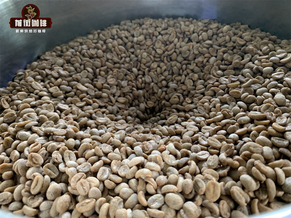 A Complete Guide to Coffee Roasting: From Light to Dark Roasts, Reading Agtron Values, and Developing Flavors