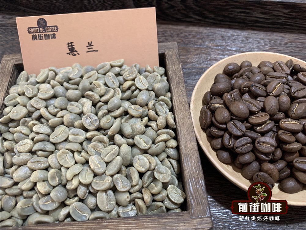 Colombian Huila Coffee Pour Over Guide | SOE Extraction Parameters and Flavor Analysis