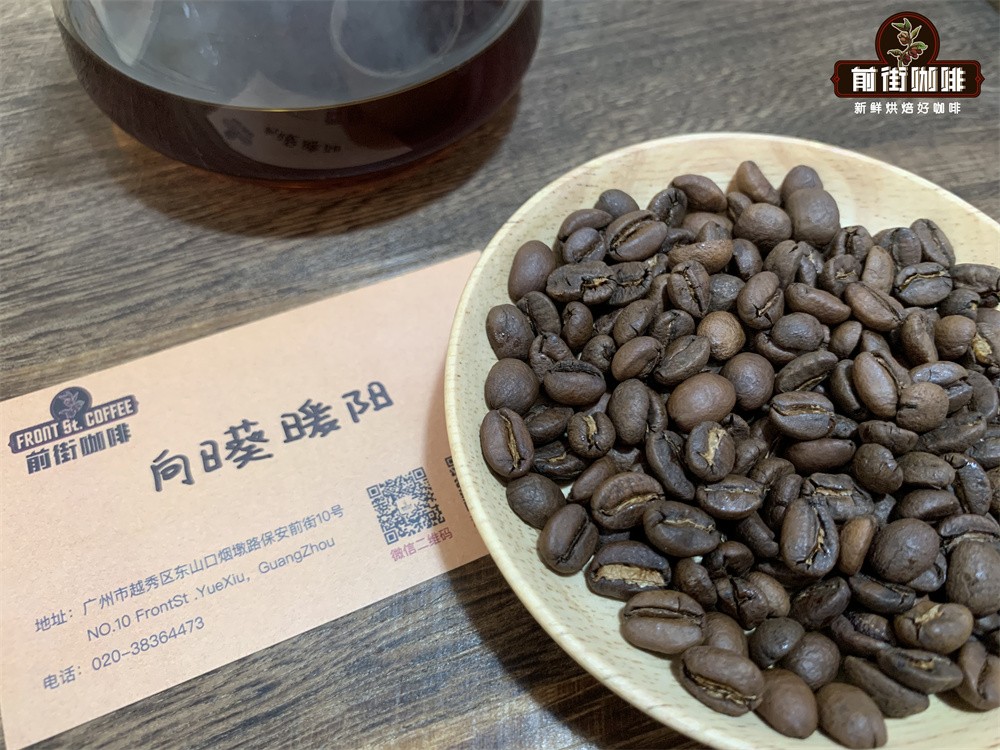 Jamaican Blue Mountain Iced Pour Over Tutorial & Flavor Analysis | Single-Origin Coffee Beginner's Guide