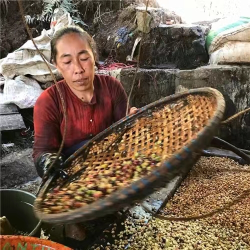 A Complete Guide to Indonesian Mandheling Wet-Hulled Process: Flavor Profile & Pour Over Parameter Practical Guide