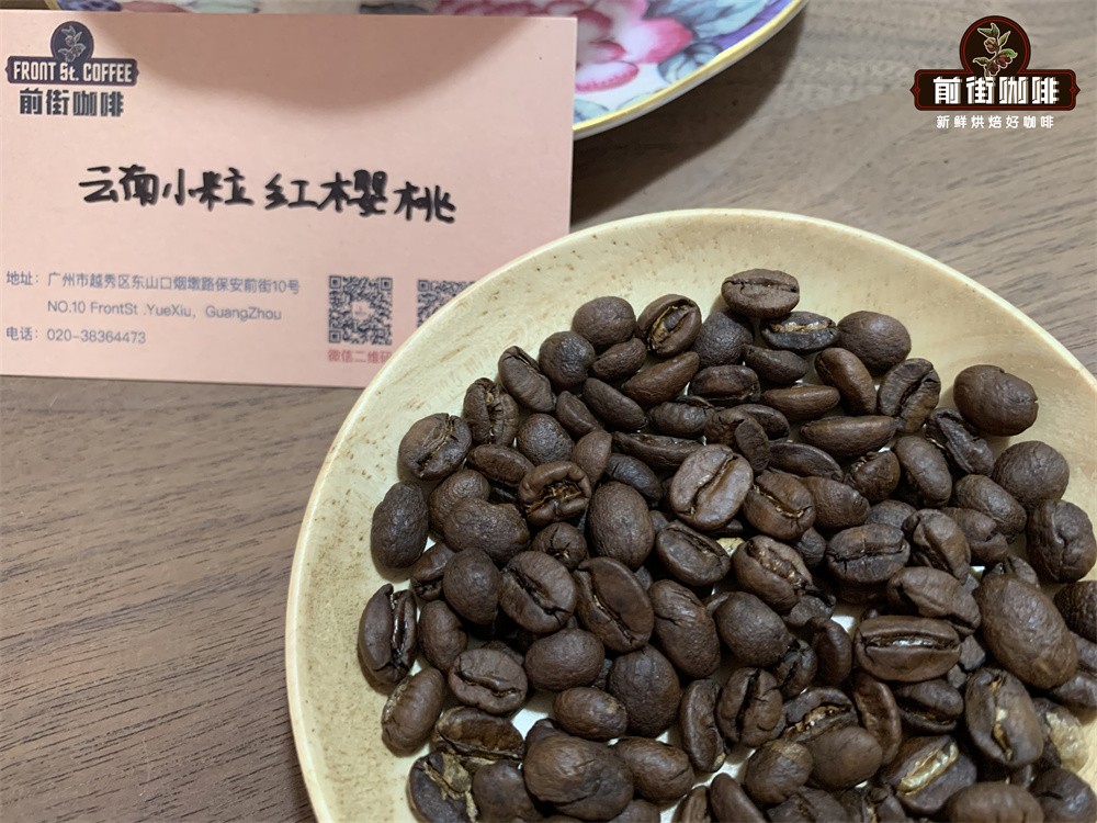 Yunnan Catimor Pour Over Brewing Guide: Variety Origins, Flavor Profile & Brewing Tips