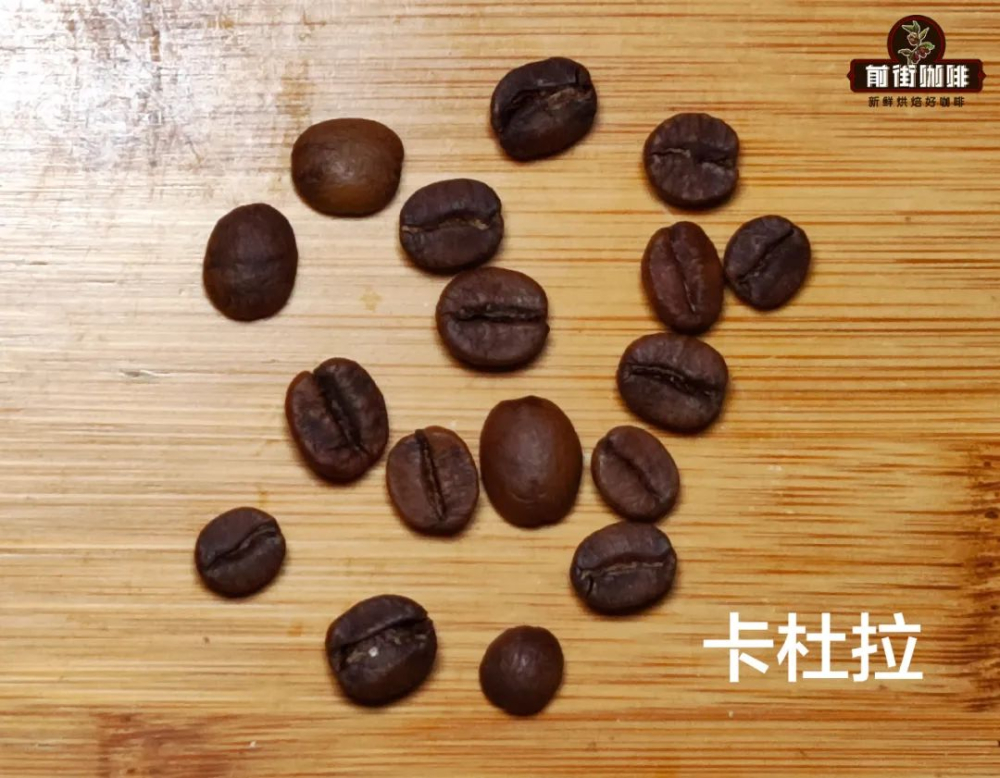Caturra vs Catuai Coffee Variety Comparison: Origin, Flavor Characteristics, and Best Brewing Recommendations