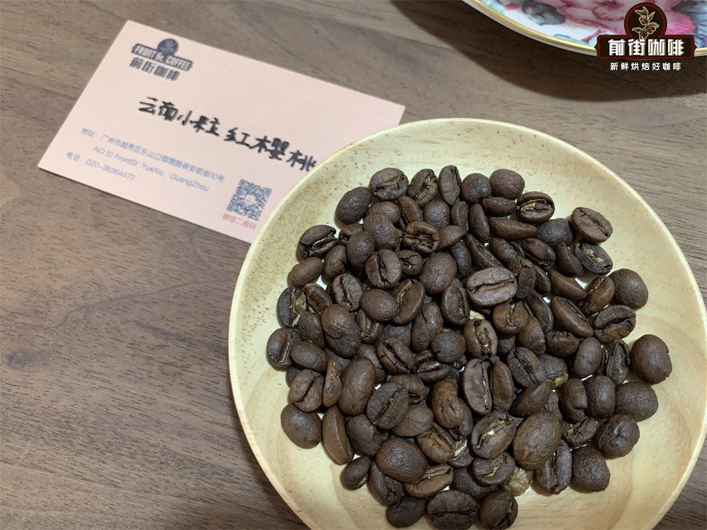 A Complete Guide to Tasting Yunnan Small-Bean Coffee: Flavor Characteristics and Regional Differences