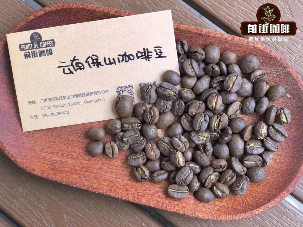 A Complete Guide to Yunnan Small-Bean Coffee: Varieties, Growing Regions, Flavors, and Washed Processing