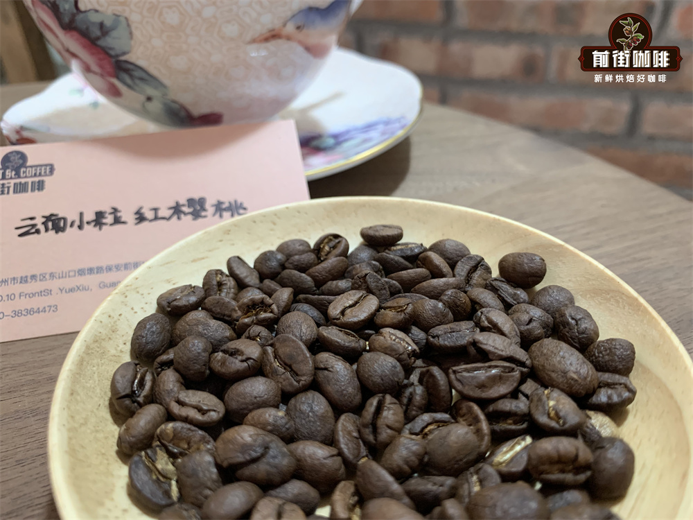 A Complete Guide to Yunnan Small-Bean Coffee: Varieties, Growing Regions, Flavors, and Washed Processing