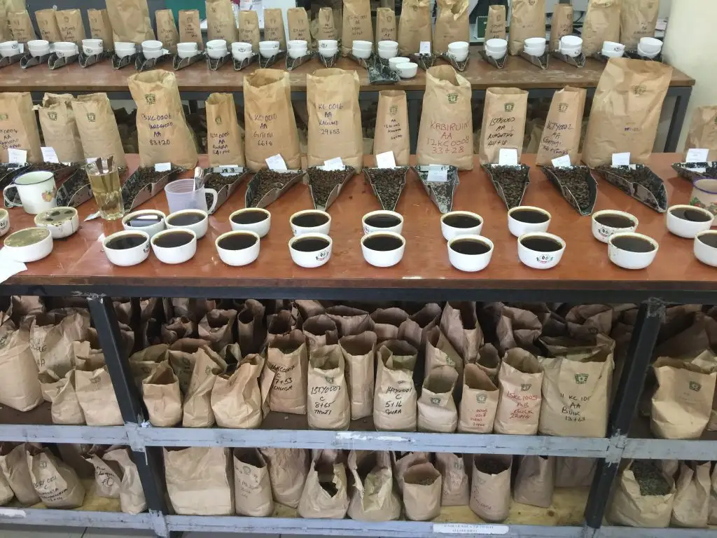 How to distinguish Kenyan AA, AB, and PB coffee beans? A complete guide to grades, flavors, and pour over parameters