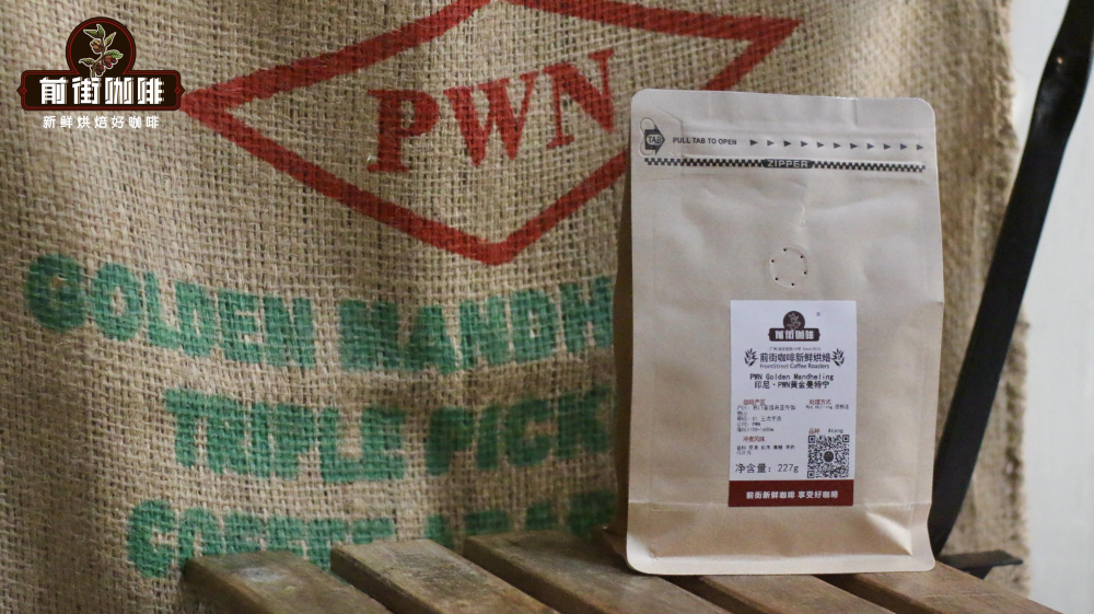 Flavor Analysis and Roasting Recommendations for the World's Top 10 Coffee Regions | Pour Over Bean Selection Guide