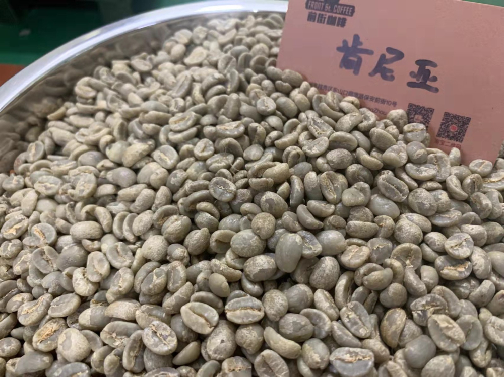 Complete Guide to Kenyan Coffee Varieties and Growing Regions: From SL28 to K72 Washed Process & Pour Over Recommendations