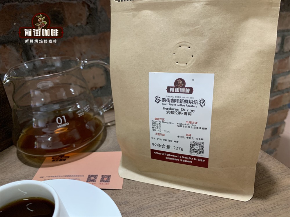 A Complete Guide to Cold Drip Coffee: From Coffee-to-Water Ratio to Flavor Development During Refrigeration