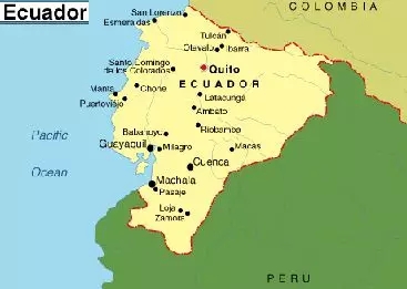 A Complete Guide to Ecuadorian Coffee Varieties: Bourbon, Caturra, and Organic Flavor Profiles for Pour Over