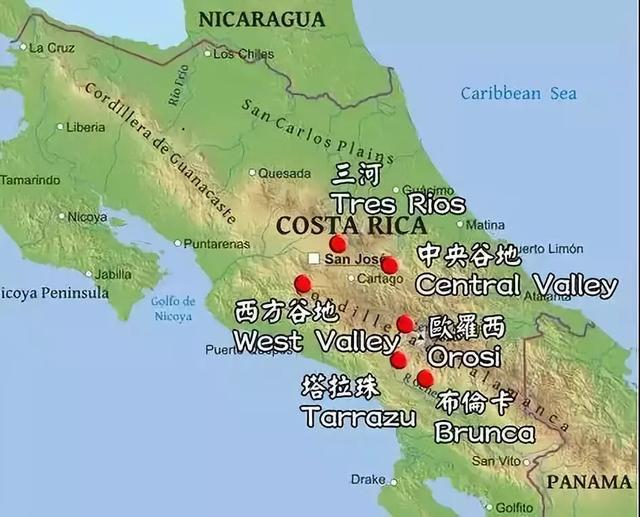 A Complete Guide to Costa Rican Coffee Regions & Honey Processing: From Tarrazú to Single-Origin Pour Over Parameters