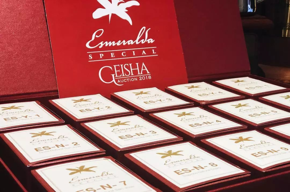 Why is Geisha coffee so expensive? An in-depth look at auction prices and pour over techniques