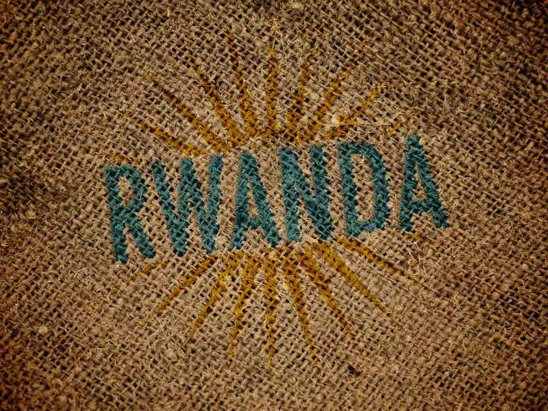 Complete Guide to Rwandan Washed Coffee Varieties & Regions: Flavor Profiles & Pour Over Techniques