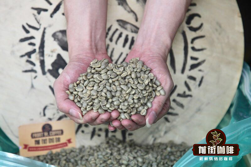 Complete Guide to Jamaican Blue Mountain No.1 Coffee Beans: Region, Clifton Estate, and Pour Over Parameters