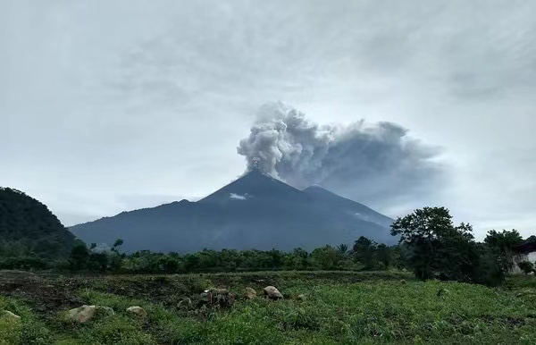 In-depth Analysis of Guatemala Geisha Growing Regions: Flavor Profiles of Two Renowned Farms and Pour Over Recommendations