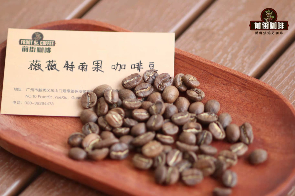 In-Depth Review of Guatemala Geisha Natural Process Beans: Flavor, Processing & Brewing Guide