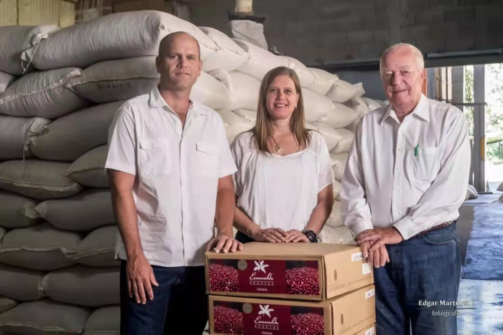 A Complete Guide to Panamanian Geisha Coffee: Variety Origins, Grading System, and Pour Over Parameters