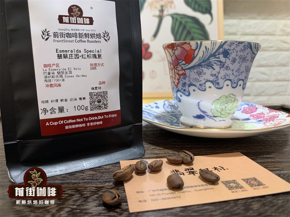 A Complete Guide to Panamanian Geisha Coffee: From Origins to Three Classic Bean Recommendations and Pour Over Tips