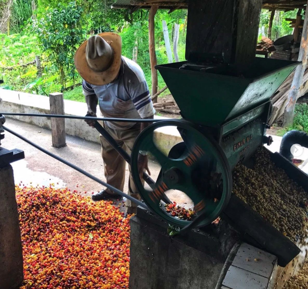 Complete Guide to Pour Over Indonesian Mandheling: Wet-Hulling Process, Golden Grades & Brewing Parameters