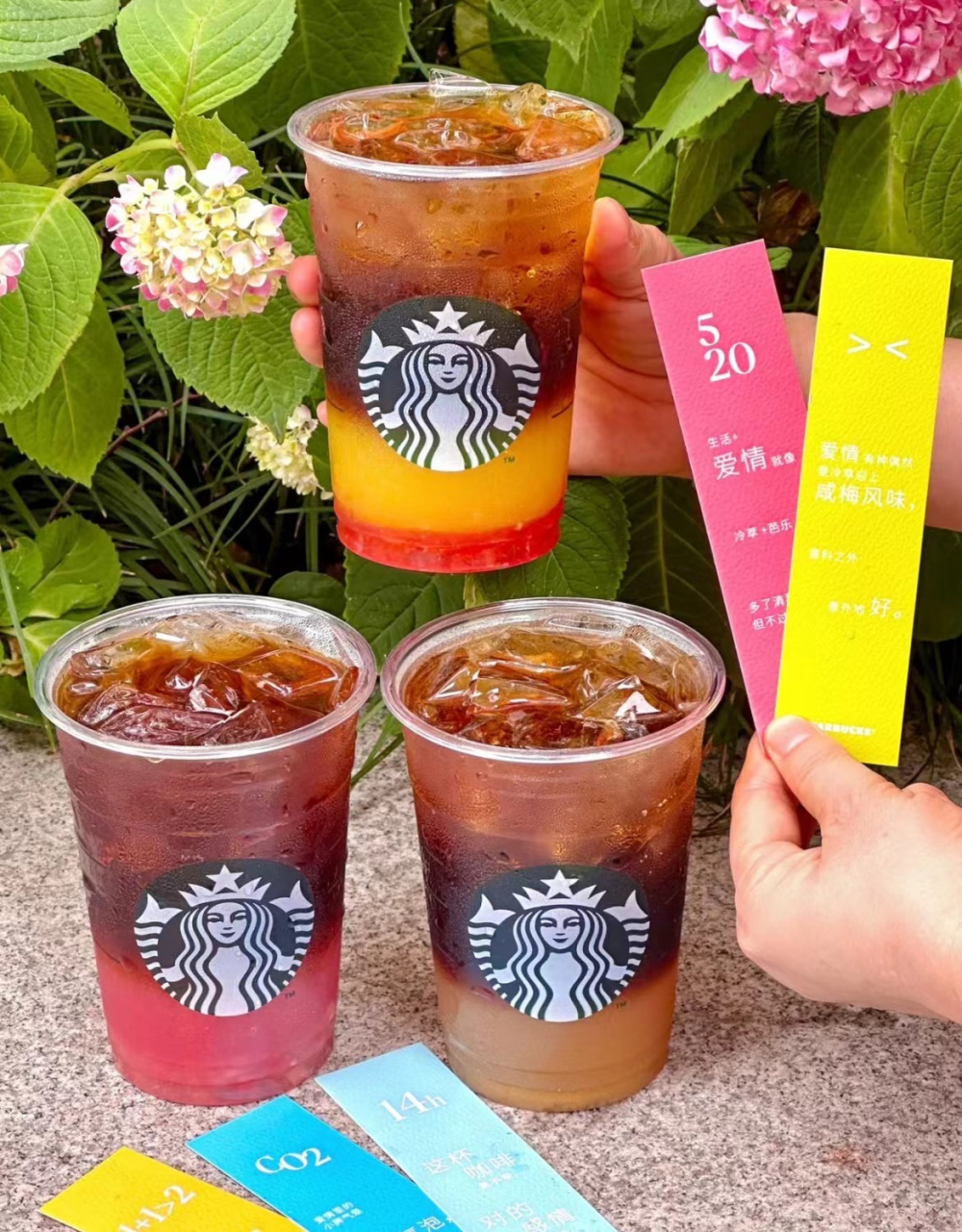 Starbucks 2023 Summer New Arrivals Cheat Sheet: Prices & Flavors of Iced Shaken Espresso, Cold Brew, and Nitro Cold Brew at a Glance