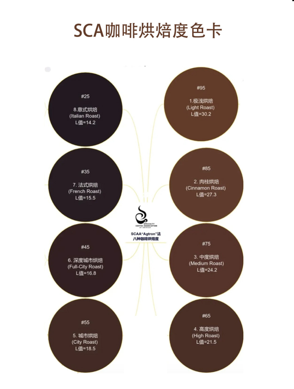 SCA Level 8 Roast Color Chart Complete Guide: Analysis of Color, Flavor, and Roasting Techniques from Light to Dark Roasts