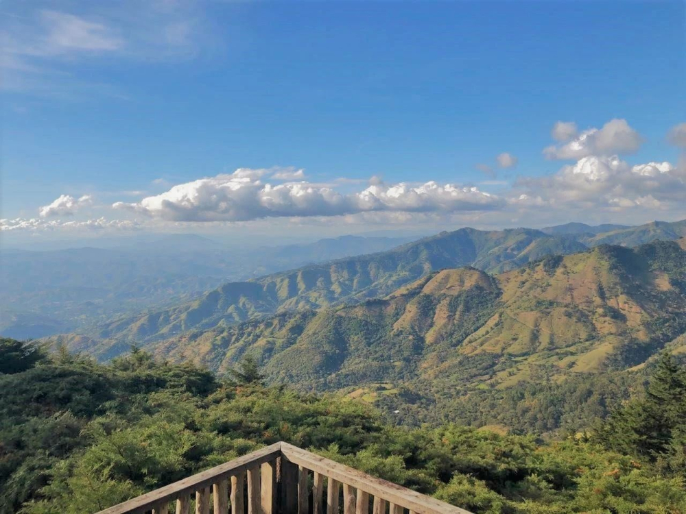 Complete Guide to El Salvador's Nine Major Coffee Regions: Pour Over Parameters and Flavor Profiles of Bourbon-Pacas and Pacamara