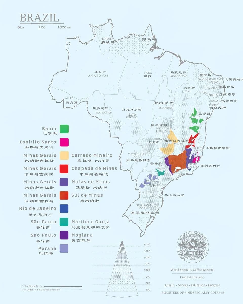 Complete Guide to Brazilian Coffee: From the Three Major Regions to Red & Yellow Bourbon Varieties, Master Pour Over and SOE Brewing in One Go