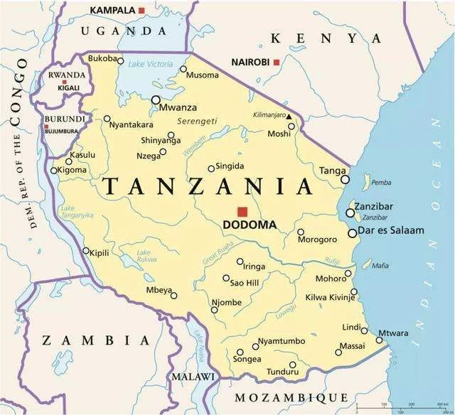 A Complete Guide to Tanzanian Kilimanjaro AA Coffee: Region, Washed Process & Pour Over Brewing Recommendations