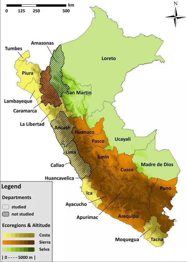 An In-depth Look at Peru's Coffee Regions: Geisha Variety, Washed Processing, and Cajamarca Flavor Profile